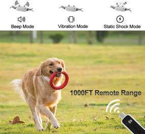 img 2 attached to 🐶 Premium PETDOIT Dog Shock Collar: 1000FT Remote Range Training Collar with Beep/Vibration/Shock Modes for Effective Dog Training!