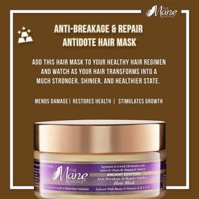 img 3 attached to 🔧 The Mane Choice Ancient Egyptian Anti-Breakage & Repair Antidote Hair Mask (8 Oz): Repair and Strengthen Your Hair