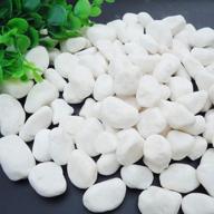 🐠 wayber white decorative pebble rock sand - ideal for aquariums, fish & turtle tanks, vase fillers, and succulent plant decorations logo