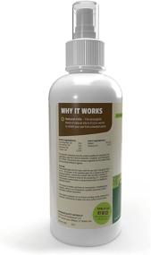 img 2 attached to 🐶 FLEA + TICK Repellent Spray by Pet Naturals of Vermont - 8-Ounce