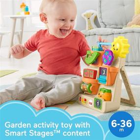 img 3 attached to 🌼 Fisher-Price Смеяться и Учиться Загляните и Играйте Занятый Сад: Музыкальная игрушка с образовательным содержанием для младенцев и малышей