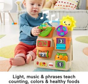 img 2 attached to 🌼 Fisher-Price Смеяться и Учиться Загляните и Играйте Занятый Сад: Музыкальная игрушка с образовательным содержанием для младенцев и малышей