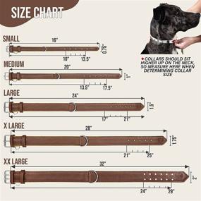 img 3 attached to 🐾 Premium Riparo Genuine Leather Padded Dog Collar - Heavy Duty, Adjustable & Ideal for K-9s