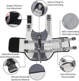 img 2 attached to Stay Safe on the Water with the Dog Safety Life Vest - Adjustable, High Buoyancy, Durable & Rescue Handle for Small, Medium, Large Dogs (Size: L)