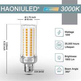 img 3 attached to 💡 Industrial Electrical Decorative Chandelier: Candelabra Equivalent, Non-Dimmable & Stylish