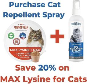 img 3 attached to 🐱 Indoor and Outdoor Cat Repellent Spray for Furniture – No Scratch Spray – Alcohol-Free and 100% Natural Cat Deterrent – Behavioral Training Aid – Couch Protector, 8 oz