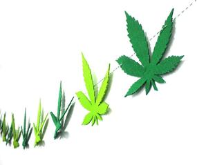 img 1 attached to 🌿 Optimize Your 4/20 Celebration with Stylish Pot Leaf Banner Wall Decor, Party Supplies, and Themed Decorations