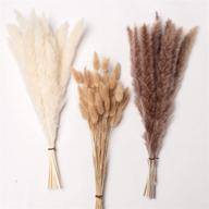 🌾 pnt concept total 90 pcs, 17" set with white pampas and natural dried pampas grass, rabbit tail grass - ideal for home decor, boho decor, and wedding flower arrangements logo