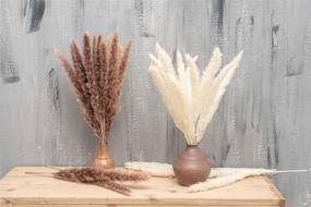 img 1 attached to 🌾 PNT CONCEPT Total 90 Pcs, 17" Set with White Pampas and Natural Dried Pampas Grass, Rabbit Tail Grass - Ideal for Home Decor, Boho Decor, and Wedding Flower Arrangements