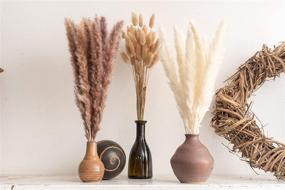 img 3 attached to 🌾 PNT CONCEPT Total 90 Pcs, 17" Set with White Pampas and Natural Dried Pampas Grass, Rabbit Tail Grass - Ideal for Home Decor, Boho Decor, and Wedding Flower Arrangements