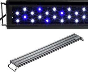 img 4 attached to 🐠 Aquaneat Aquarium Light - White and Blue LED for Fresh Water Fish Tank - 12" 20" 24" 30" 36" 48" Sizes Available