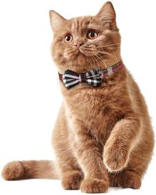 img 3 attached to KUDES 2 Pack/Set Cat Collar Breakaway: Cute Bow Tie & Bell, Adjustable 7.8-10.5 Inch - Perfect for Kittens & Puppies!