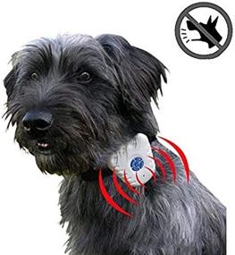 img 2 attached to 🐶 Safe and Humane Waterproof Ultrasonic Anti-Bark Small Dog Collar - No Shock or Harm! Gentle, Effective Training Collar with Intelligent Ultrasonic Sound Technology for Stopping Excessive Barking