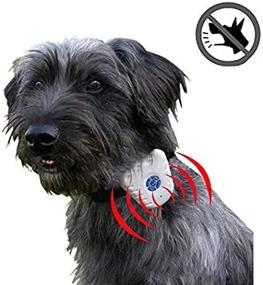 img 4 attached to 🐶 Safe and Humane Waterproof Ultrasonic Anti-Bark Small Dog Collar - No Shock or Harm! Gentle, Effective Training Collar with Intelligent Ultrasonic Sound Technology for Stopping Excessive Barking