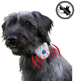 img 1 attached to 🐶 Safe and Humane Waterproof Ultrasonic Anti-Bark Small Dog Collar - No Shock or Harm! Gentle, Effective Training Collar with Intelligent Ultrasonic Sound Technology for Stopping Excessive Barking