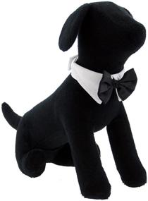 img 2 attached to 🐶 Formal Dog Bow Tie in Black for Large Dogs (Neck Size: 16-19 inches)