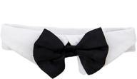 🐶 formal dog bow tie in black for large dogs (neck size: 16-19 inches) logo