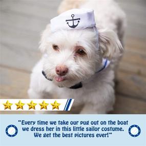 img 2 attached to 🐾 Pet Krewe Sailor Costume: Cute Sailor Cat and Dog Outfit for Small Pets - Perfect for Christmas, Halloween, Parties & Photoshoots - Suitable for Neck Size 10” - 12.5” - Ideal Gift for Dog and Cat Lovers