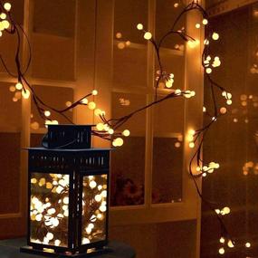 img 1 attached to 🏠 Indoor String Lights for Bedroom, Waterproof Warm White Fairy Lights, 8.2FT 72LEDs 8 Modes, Various Globe Sizes, Plug in with 9.8FT Power Extension Cord - Home Decor