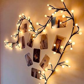 img 4 attached to 🏠 Indoor String Lights for Bedroom, Waterproof Warm White Fairy Lights, 8.2FT 72LEDs 8 Modes, Various Globe Sizes, Plug in with 9.8FT Power Extension Cord - Home Decor