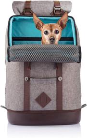 img 4 attached to Kurgo Dog Carrier Backpack for Small Pets - Dogs & 🐾 Cats, Airline Approved, Cat Backpack, Hiking or Travel, Waterproof Bottom, Hands-Free, K9 Rucksack