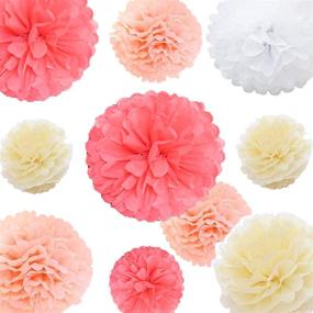 img 4 attached to 20pcs Tissue Paper Pom Poms Kit: Stylish 🎉 Flower Balls for Party, Wedding & Baby Shower Decoration