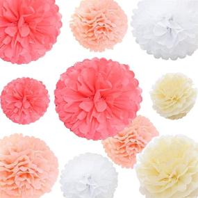 img 3 attached to 20pcs Tissue Paper Pom Poms Kit: Stylish 🎉 Flower Balls for Party, Wedding & Baby Shower Decoration