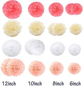 img 1 attached to 20pcs Tissue Paper Pom Poms Kit: Stylish 🎉 Flower Balls for Party, Wedding & Baby Shower Decoration