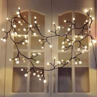 🌟 curtain lights indoor outdoor, 8.3ft 8 modes 72 led globe string lights plug in, window lights for patio garden wedding party bookshelf, christmas decorations, ambient warm white illumination logo