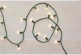 img 2 attached to 🔌 34 ft. 100-Light Mini LED Warm White String Lights with Green Wire by Home Accents Holiday - L9100174WU01