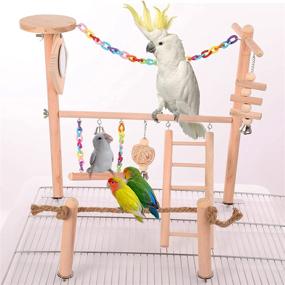 img 4 attached to Bird Cage Play Stand Toy Set: Ultimate Playground Gym for Conure, Parakeets, Budgie & More!