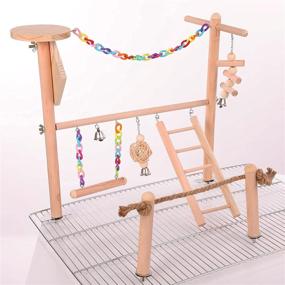 img 3 attached to Bird Cage Play Stand Toy Set: Ultimate Playground Gym for Conure, Parakeets, Budgie & More!