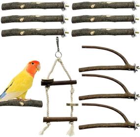 img 4 attached to 🦜 EBaokuup Bird Parrot Perch Stand Set - 10 PCS Small Bird Parakeet Stand Toys, Natural Wood Fork Perch Rod Stand Bird Cage Accessories for Pet Budgies Cockatiels Conure Lovebirds - Optimize Your Bird's Environment!