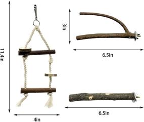 img 3 attached to 🦜 EBaokuup Bird Parrot Perch Stand Set - 10 PCS Small Bird Parakeet Stand Toys, Natural Wood Fork Perch Rod Stand Bird Cage Accessories for Pet Budgies Cockatiels Conure Lovebirds - Optimize Your Bird's Environment!