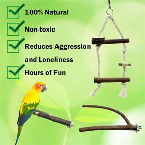 img 2 attached to 🦜 EBaokuup Bird Parrot Perch Stand Set - 10 PCS Small Bird Parakeet Stand Toys, Natural Wood Fork Perch Rod Stand Bird Cage Accessories for Pet Budgies Cockatiels Conure Lovebirds - Optimize Your Bird's Environment!