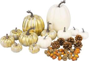 img 4 attached to White & Gold Artificial Pumpkins Decor Bulk Set - Perfect for Halloween, Thanksgiving & Fall Decorations