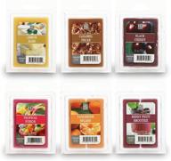 🕯️ hosley set of 6 assorted wax cubes melts 2.5 ounce each: tropical fusion, lemon bars, caramel pecans, black cherry, tangerine splash, fruit smoothie. infused with essential oils. ideal gift [o5] logo