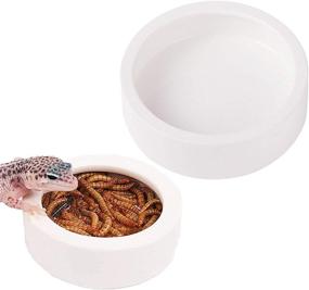 img 4 attached to 🦎 MEWTOGO Reptile Food Water Bowl: Ceramic Worm Dish for Lizards, Geckos, Bearded Dragons, Chameleons, Hermit Crabs, and more - Anti-Escape Mini Reptile Feeder