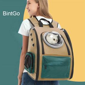 img 3 attached to 🐱 BinetGo Cat Backpack Dog Cat Carrier with Bubble - Ventilated & Breathable Design for Small Dogs Cats - Perfect for Travel, Hiking, Camping - Style 1, Green