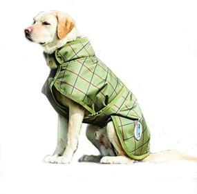 img 1 attached to 🐶 Stay Warm in Style: Weatherbeeta Parka 1200 Deluxe Dog Coat in Olive Tweed Print (12")