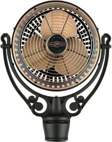 img 4 attached to Fanimation FPH210AC Fan Motor: Antique Copper/Black - Powerful and Stylish Cooling Solution