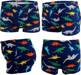 img 1 attached to 🩲 Auranso Boys' Dinosaur Multicolored02 Briefs Underwear in Clothing - Available at Underwear