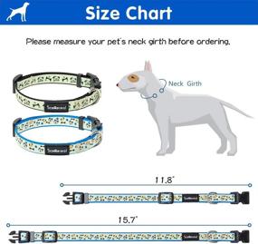 img 3 attached to 🐶 Glow-in-The-Dark Dog Collar Set: SCENEREAL Cute Lighted Puppy Collar for Small-Medium Dogs - 2 Pack, Adjustable and Stylish!