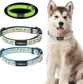 img 4 attached to 🐶 Glow-in-The-Dark Dog Collar Set: SCENEREAL Cute Lighted Puppy Collar for Small-Medium Dogs - 2 Pack, Adjustable and Stylish!