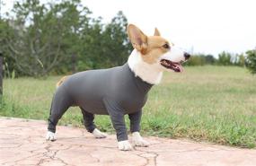 img 3 attached to 🐶 Glorisun Original Dog Onesie: Long-Sleeved 4 Legs Dog Clothing for Home, Car, Travel, Anxiety Calming Shirt, Surgery Recovery Body Jumpsuit