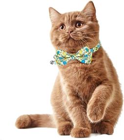 img 1 attached to 🐱 KUDES 2-Pack Printed Cat Collar Breakaway with Bell Charms and Bowtie, Cute Kitten Bow Tie Collars for Kitty Puppies and Small Pets, Adjustable 7.8-10.5 Inches