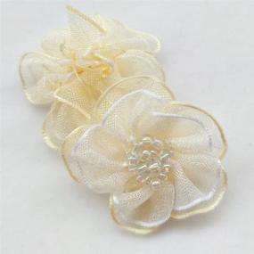 img 1 attached to 🌸 Chenkou Craft Organza Flowers Appliques for Crafting and DIY Projects