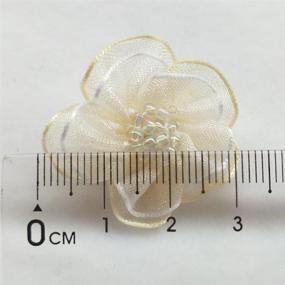 img 2 attached to 🌸 Chenkou Craft Organza Flowers Appliques for Crafting and DIY Projects