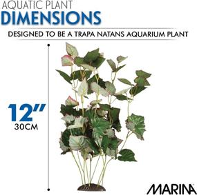 img 3 attached to Enhance Your Fish Tank with Marina Ecoscaper 12-Inch Silk Plant Trapa Natans – PP194!