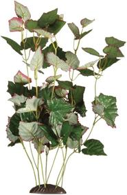 img 4 attached to Enhance Your Fish Tank with Marina Ecoscaper 12-Inch Silk Plant Trapa Natans – PP194!